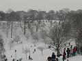 Snow, Greenwich Park P1070225